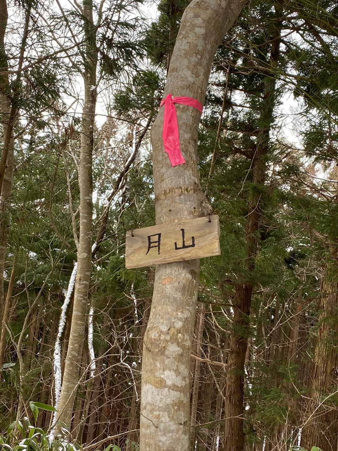 月山♬