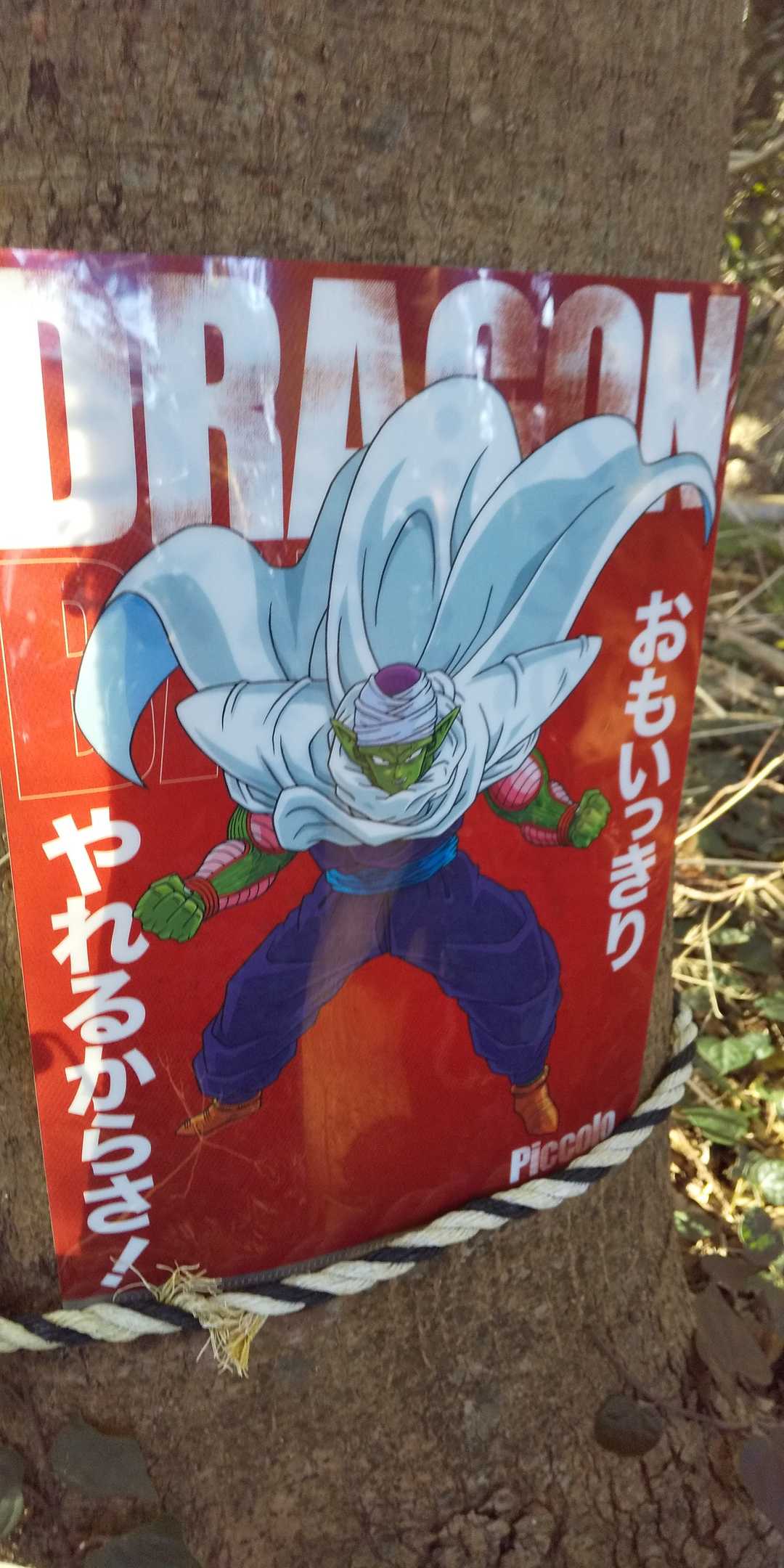 梅平和「おもいっきり


                   やれるからさ！」
三城岳 ﾋﾟｨｰｸﾊﾝﾄ ٩(๑´3｀๑)۶