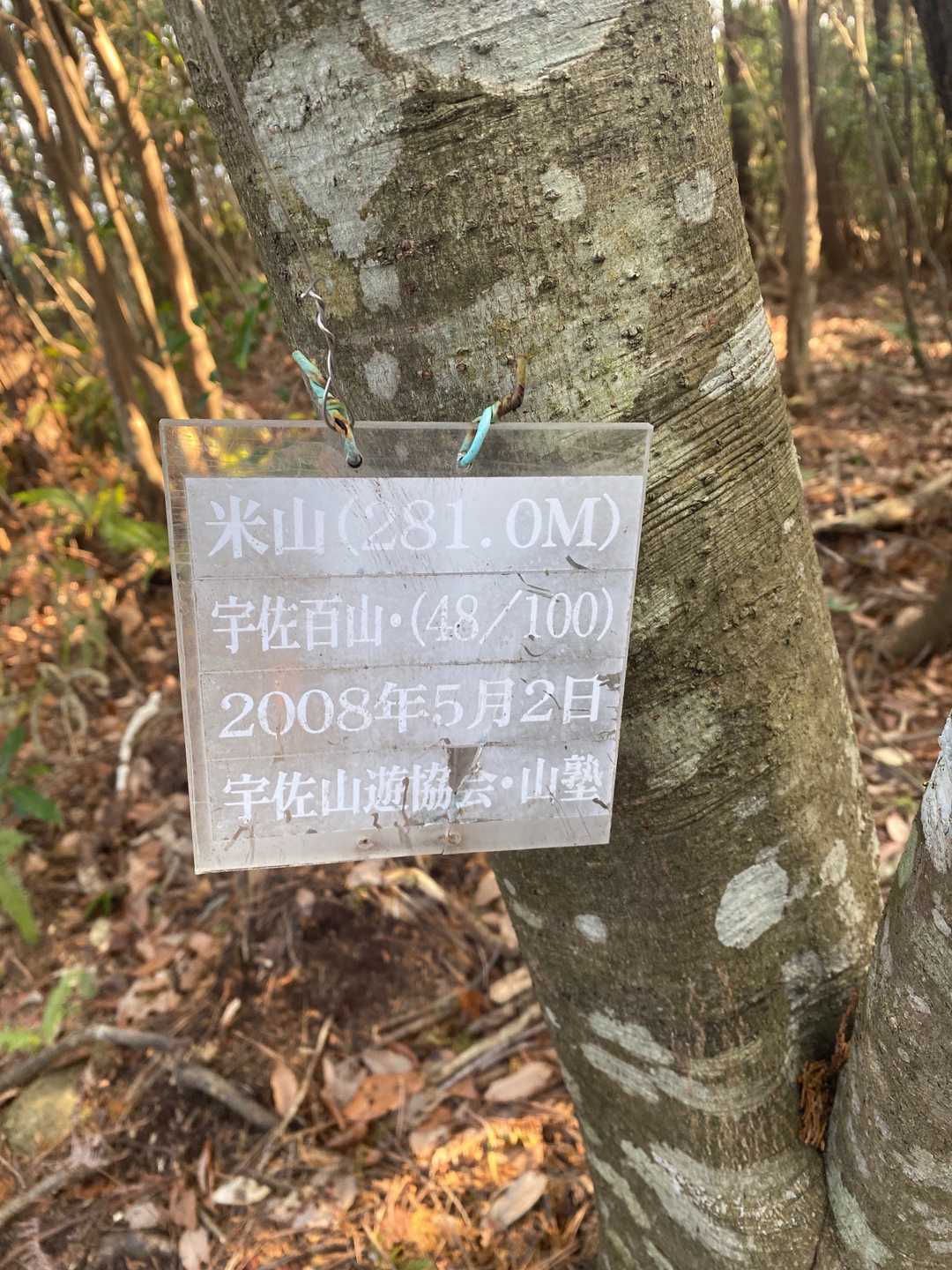 お決まりの山頂標識有りません💦