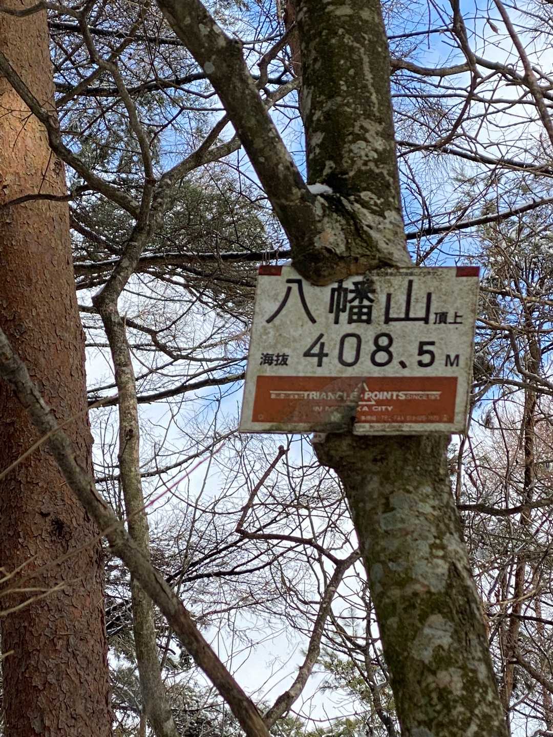八幡山☺️✨