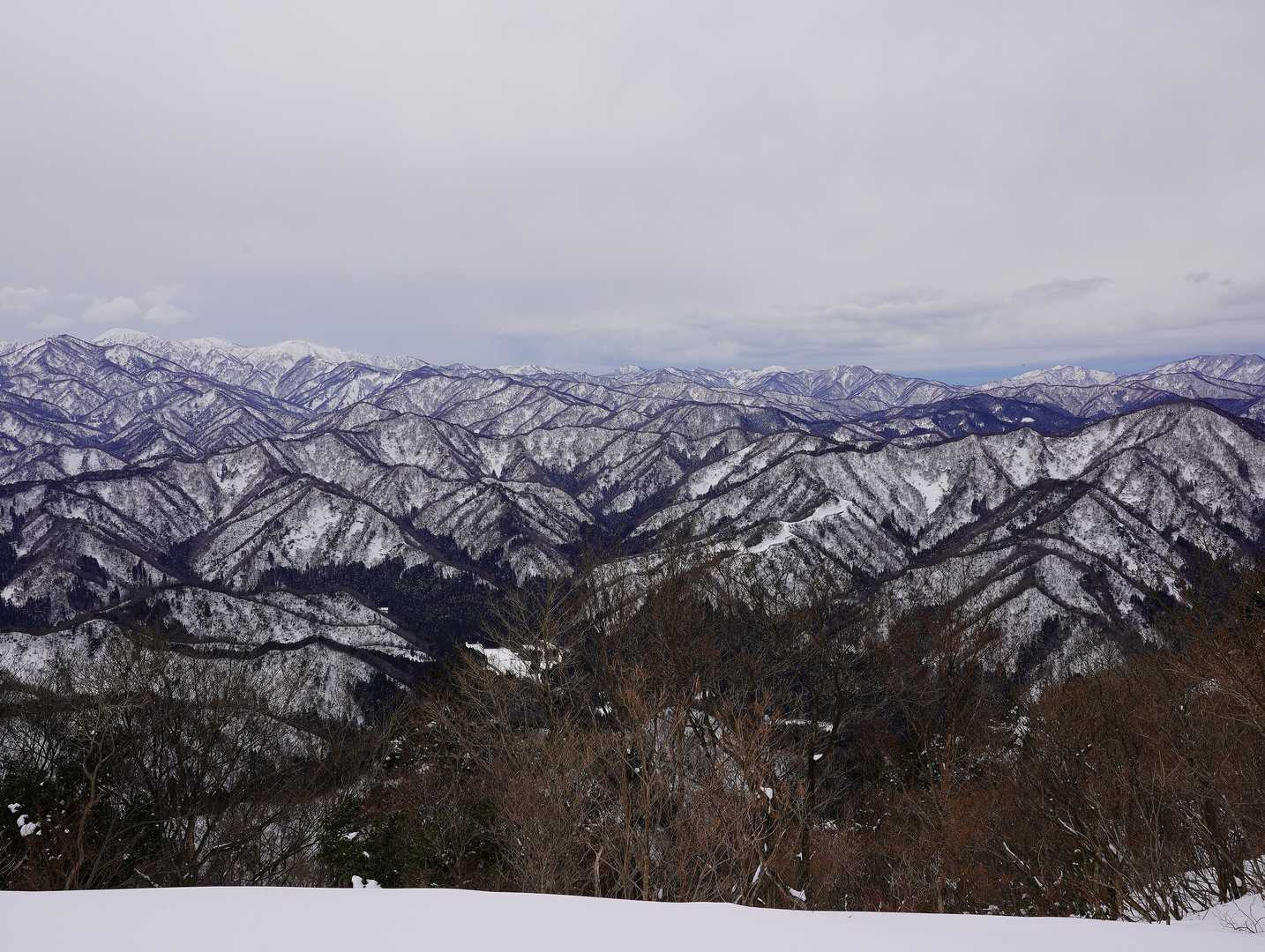 おつかれ山〜(   ´ω`)ﾉ
しょぼくてずびばぜん(#)'3`;;)・;'.、ｸﾞﾊｯ