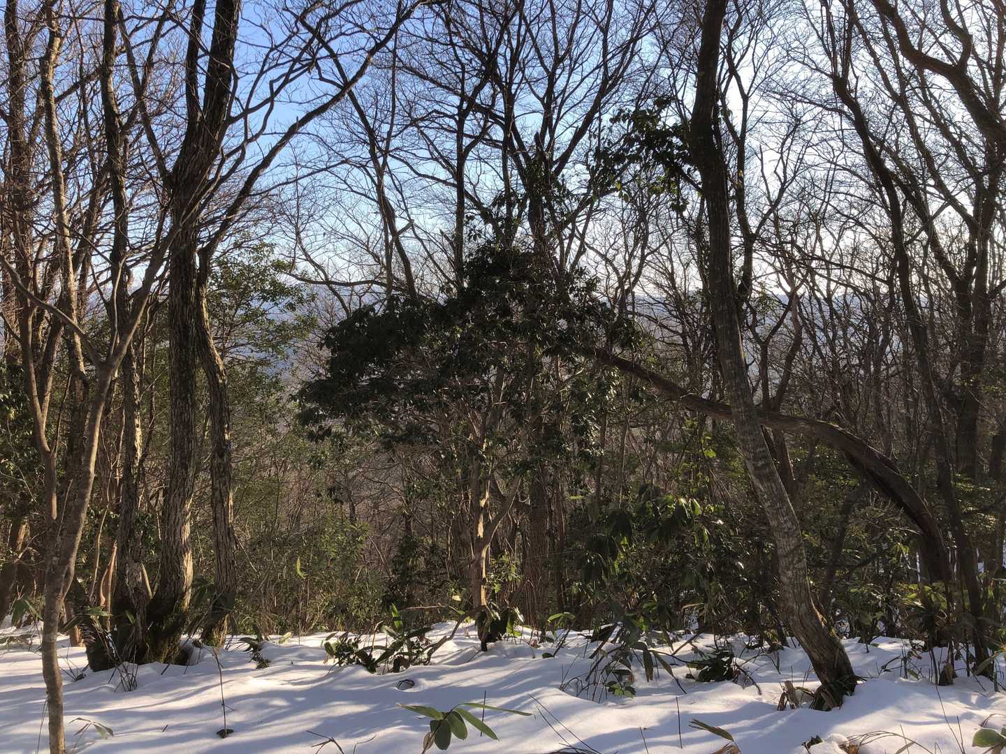 展望なんてものはありません🙄