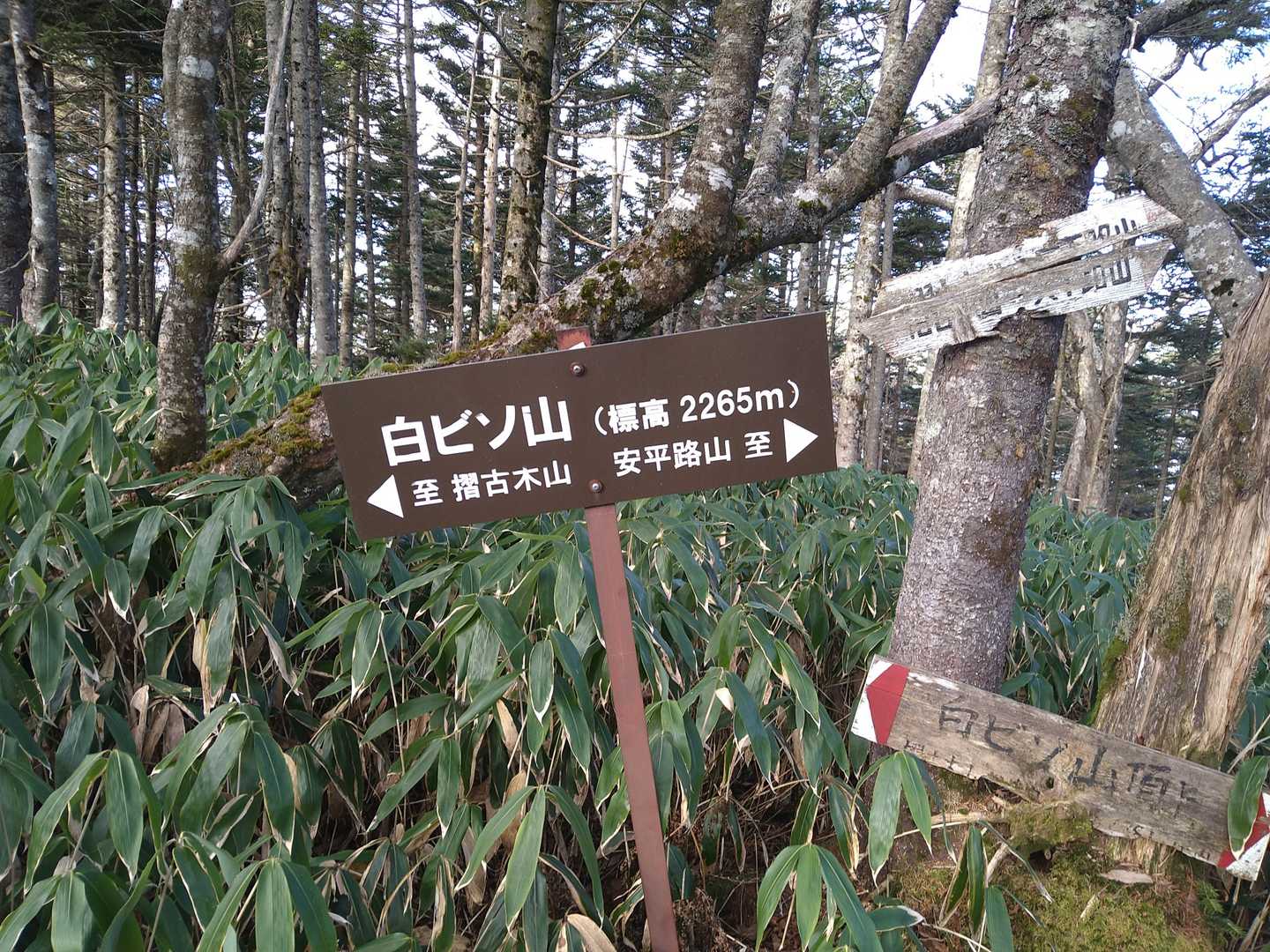 いつの間にか着いた