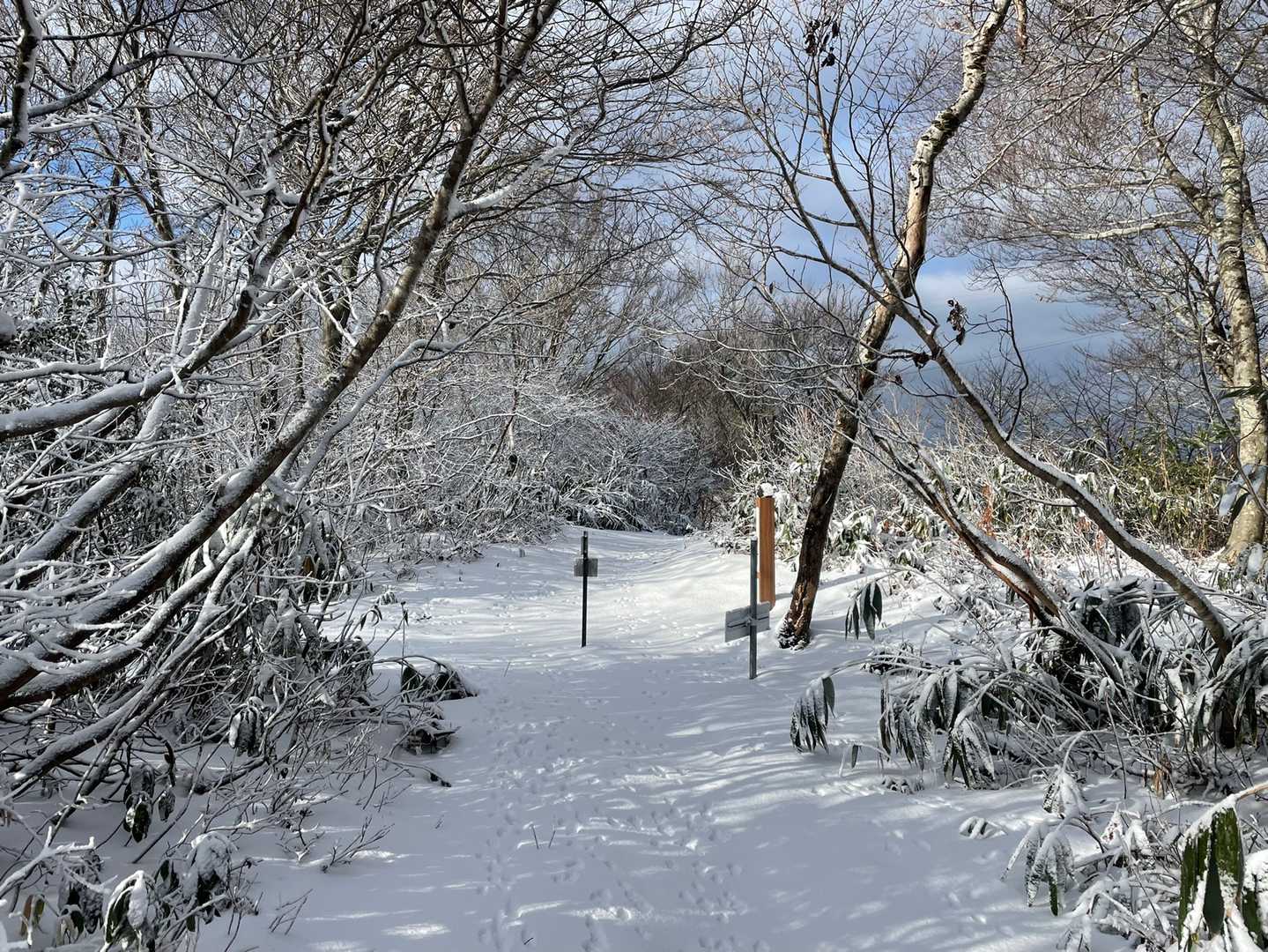 仙尾山頂上到着。
寒いし大佛寺山へ。