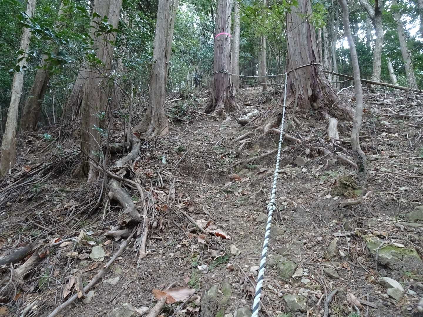 西山山系のお約束の急登
ここにはロープがある😊