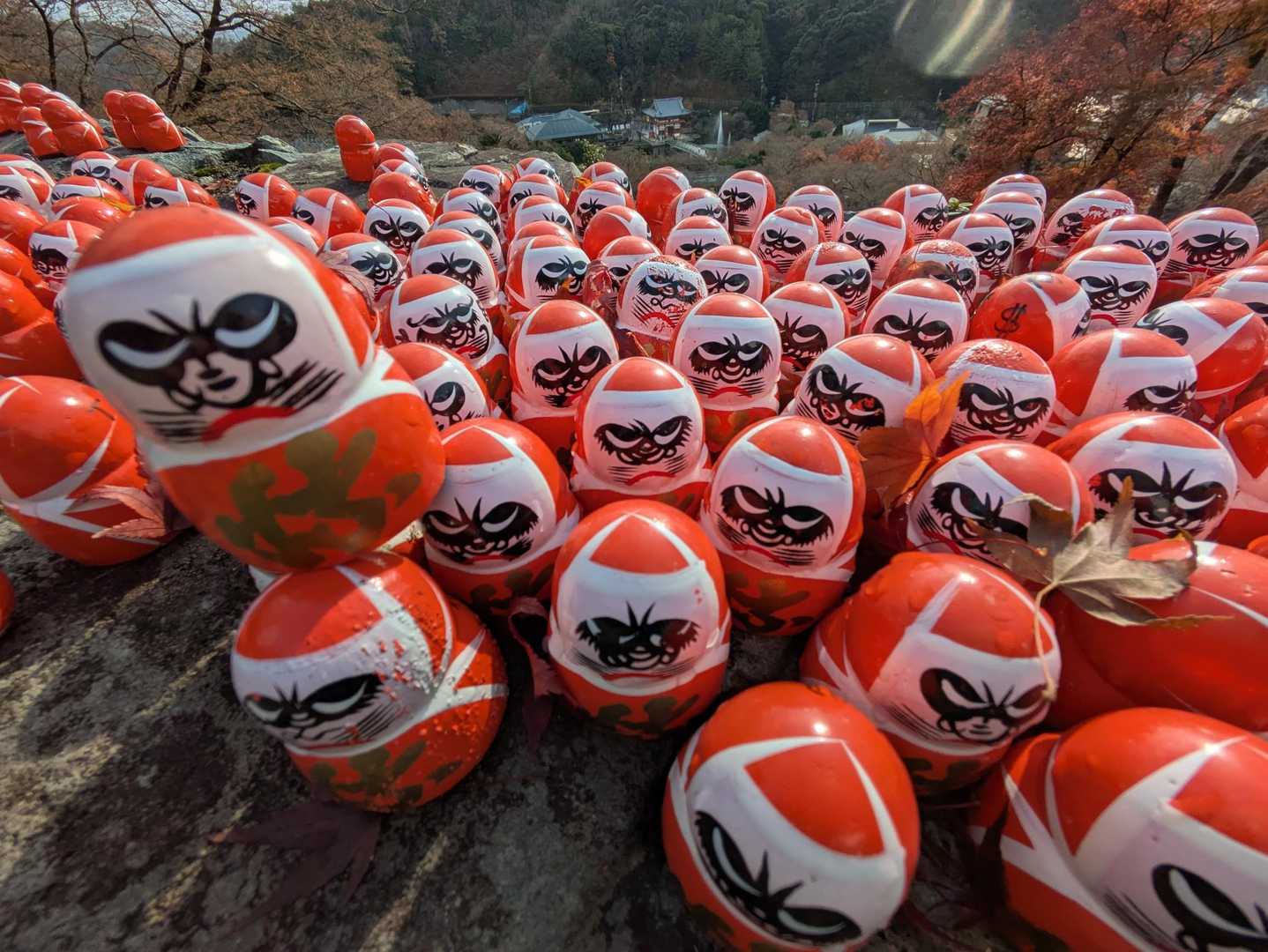 箕面大滝〜勝尾寺251214 / ケンさんの六個山・鉢伏山・明ヶ田尾山・五