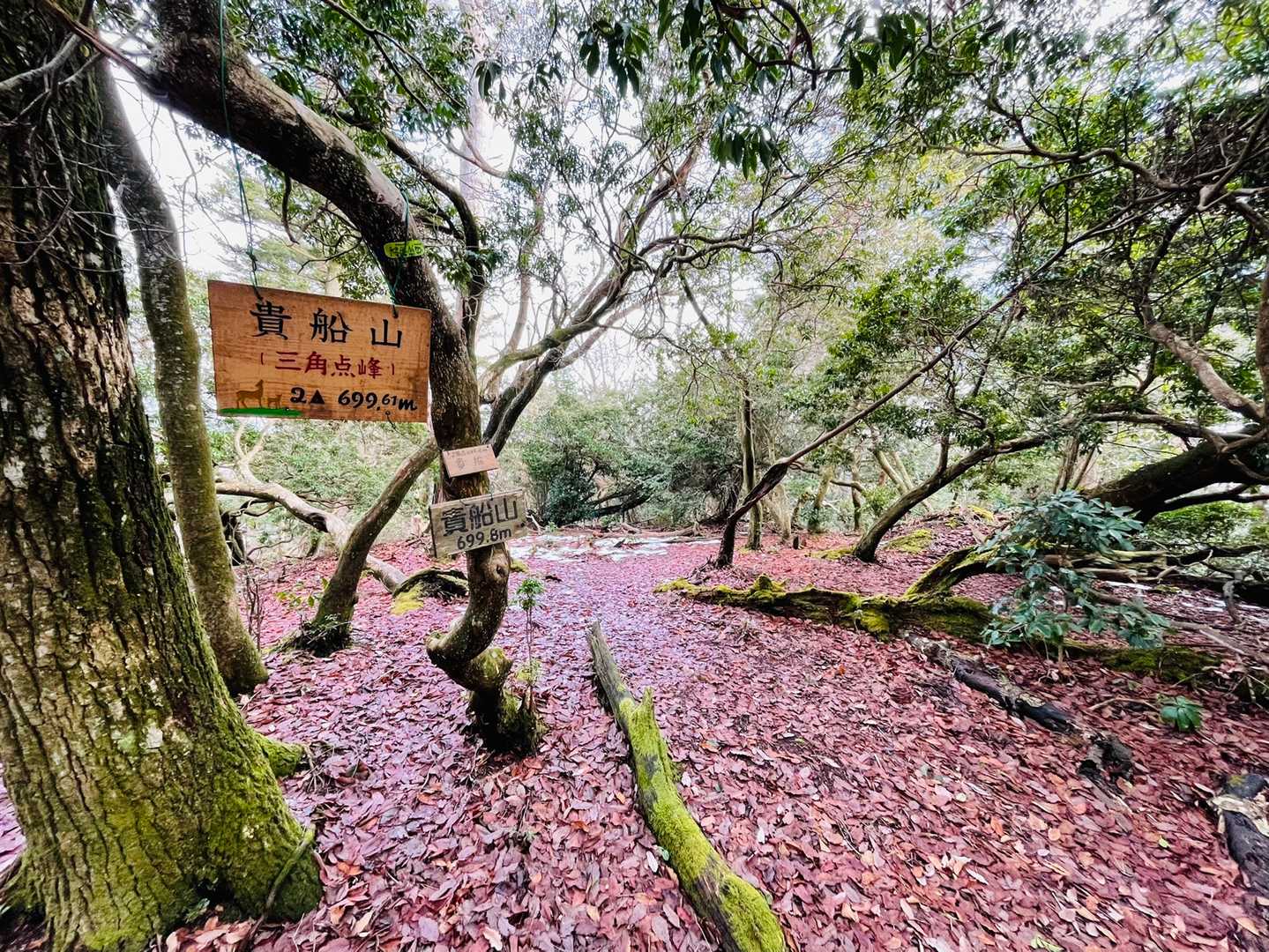 貴船山の写真