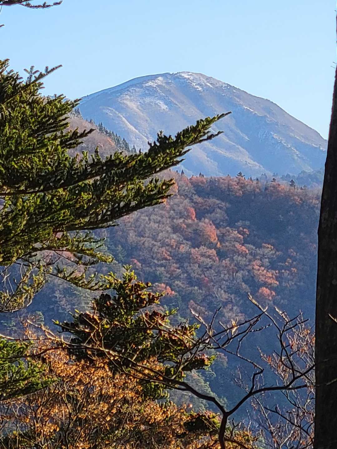 まだ少し紅葉あり(^^;)