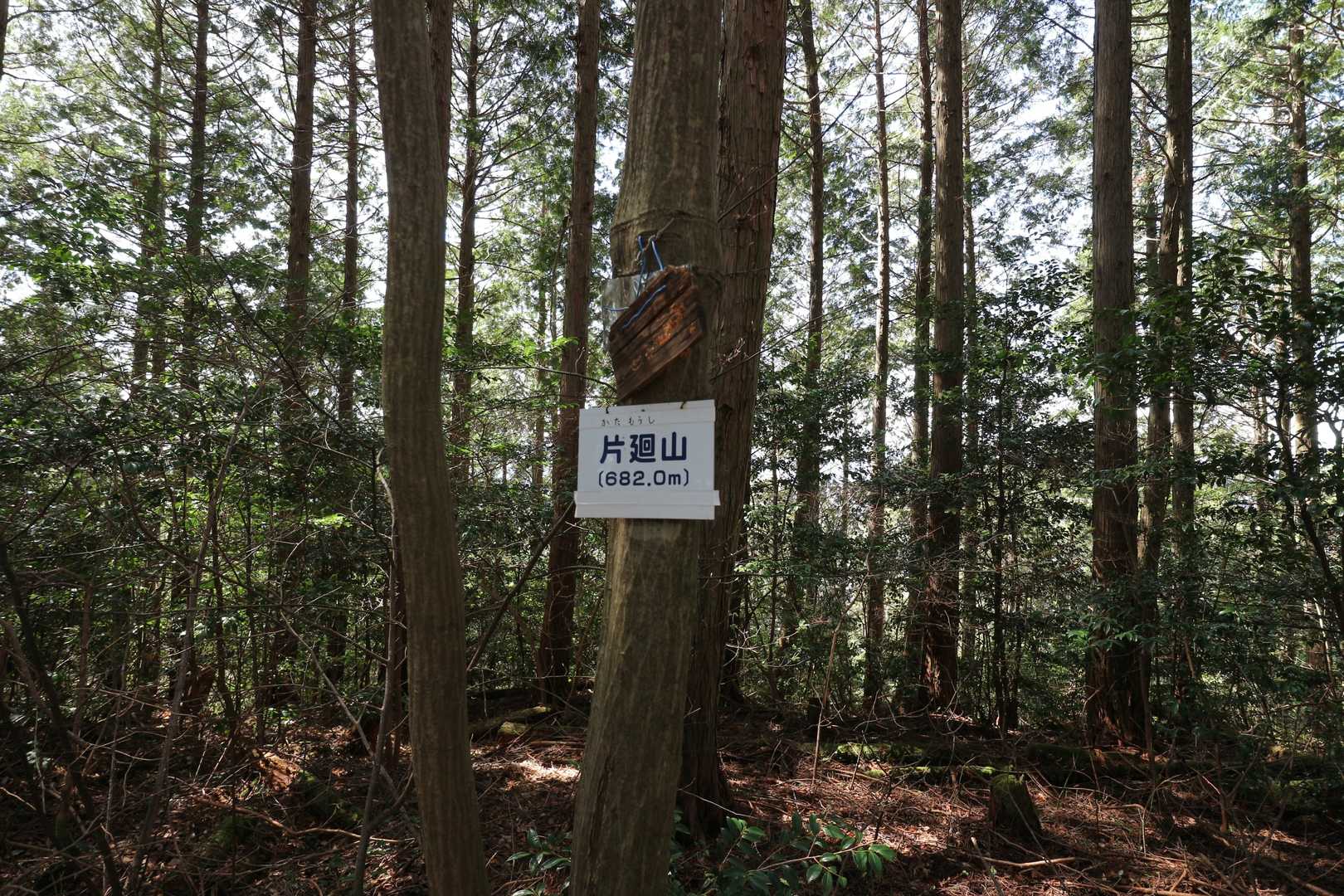 片廻山✨
あさきた里山マスターのプレートです。