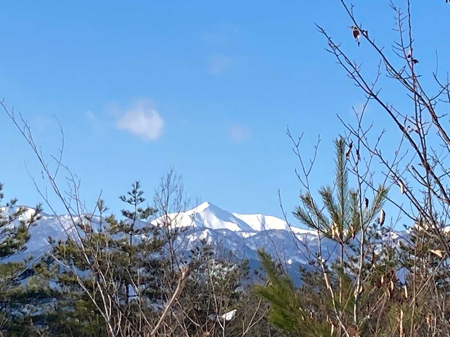 大平山展望台からの眺望🏞
大朝日岳🏔が見えますが
周りの植樹🌳が邪魔して
イマイチ展望が悪い❗️
コマネチ❗️コマネチ❗️