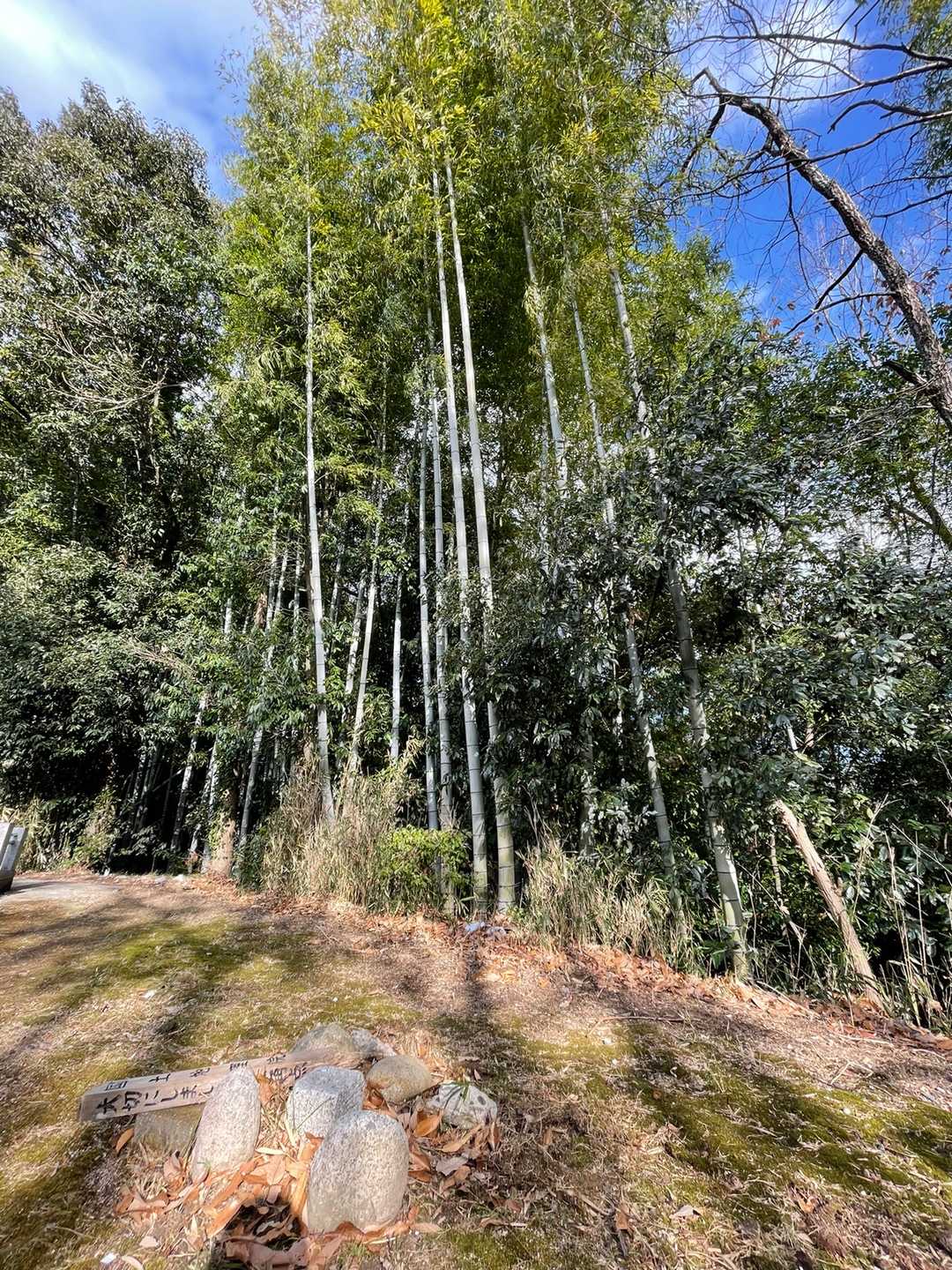 △
墓地の近くにあります。