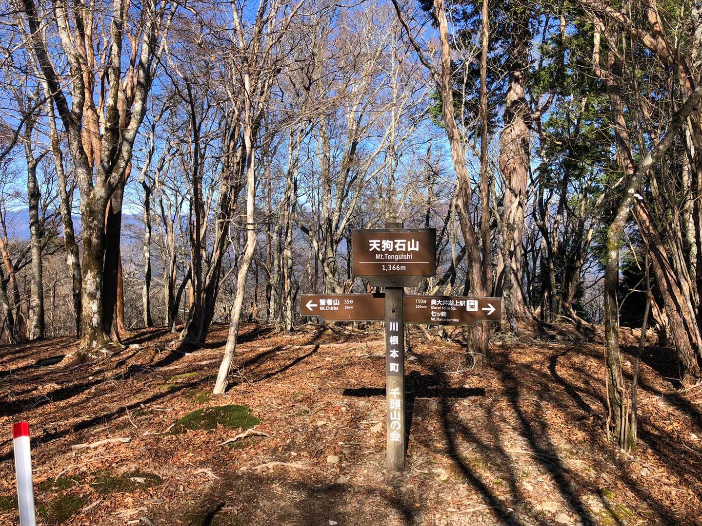👺天狗石山に到着。背後の木々の間に見えるのは、深南部の山々です。
