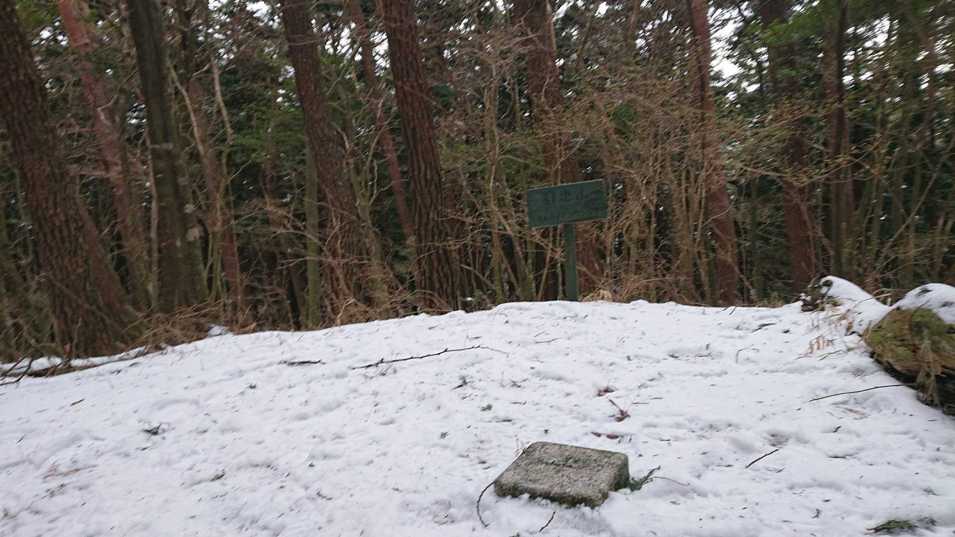 久しぶりの引地山♪