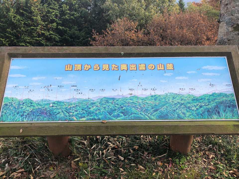 見比べても、なかなか分からないものだね😅
