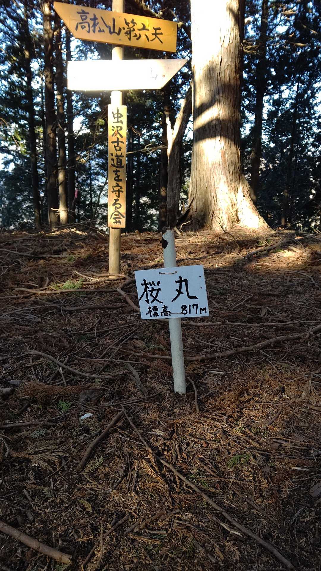 桜丸着。