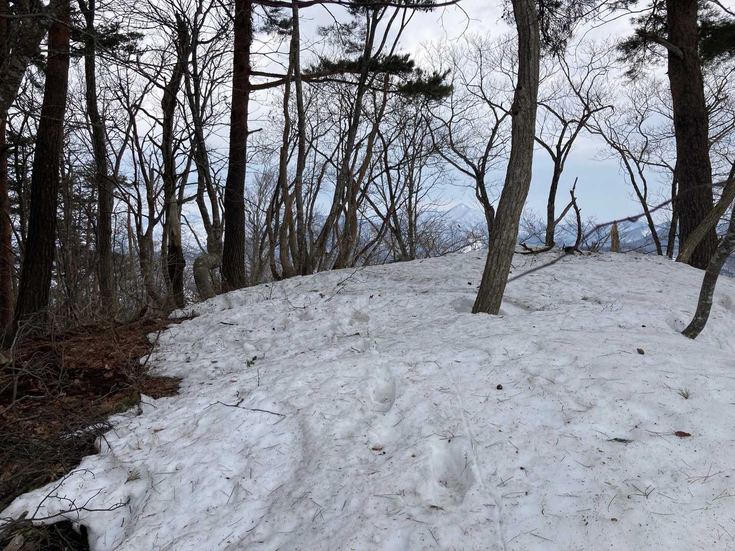 貝吹山⛰山頂到着❗️
眺望はありません🤣
ただただ登頂出来た喜びがあります👍