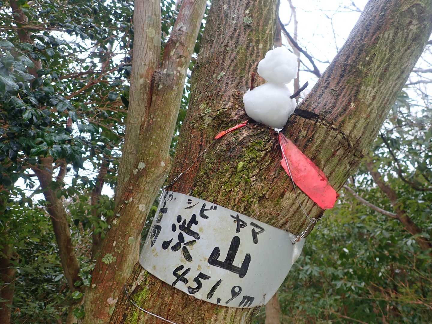 折り返し地点とうちゃく＼(^o^)／
