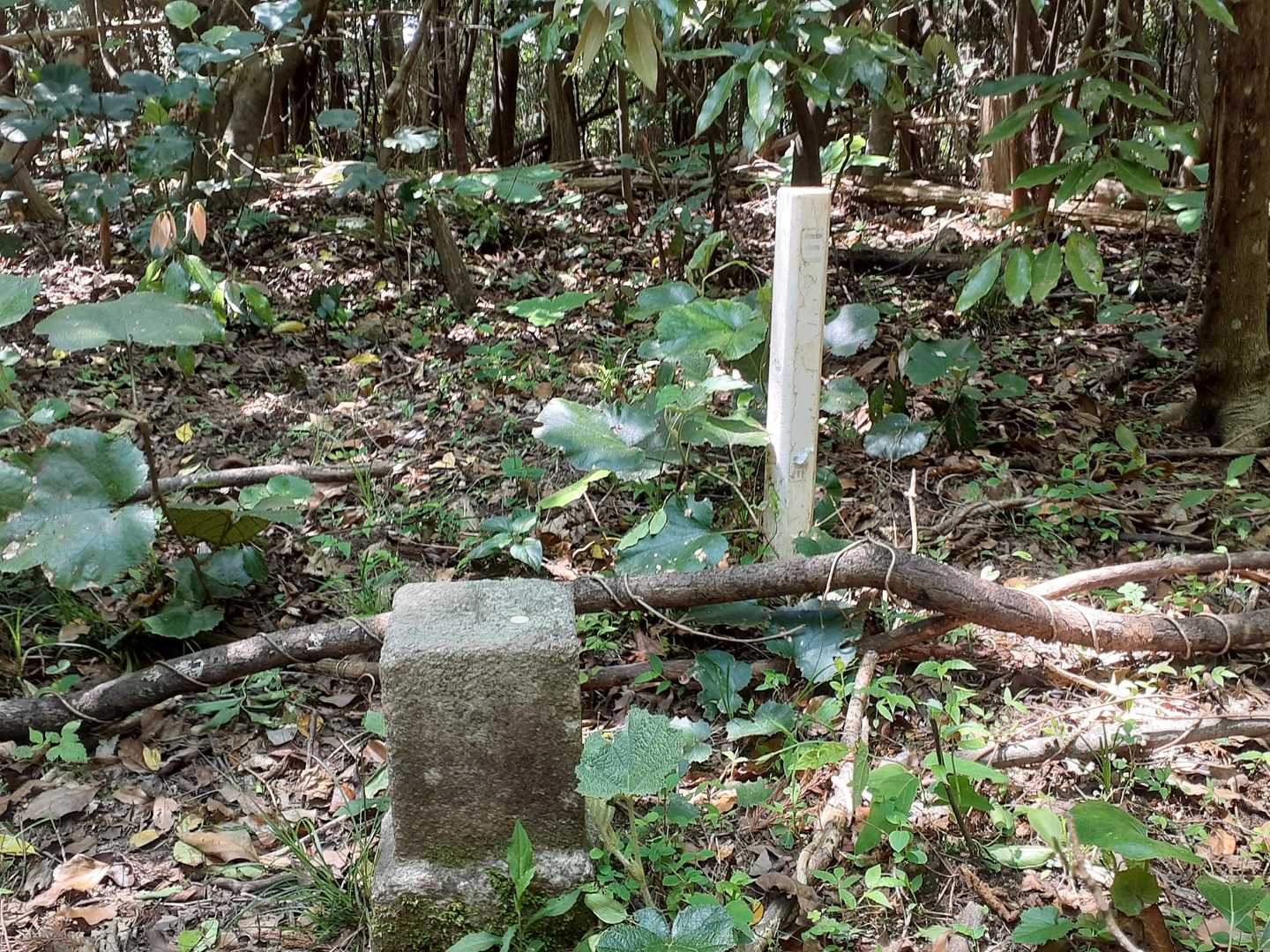 フゥー😵💨 頂に到着！→呼吸を整え下山