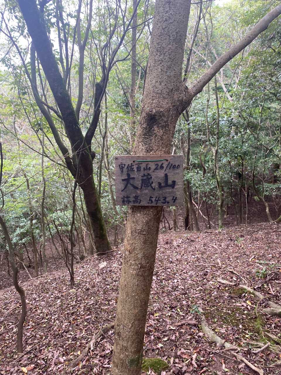 山頂標識😍