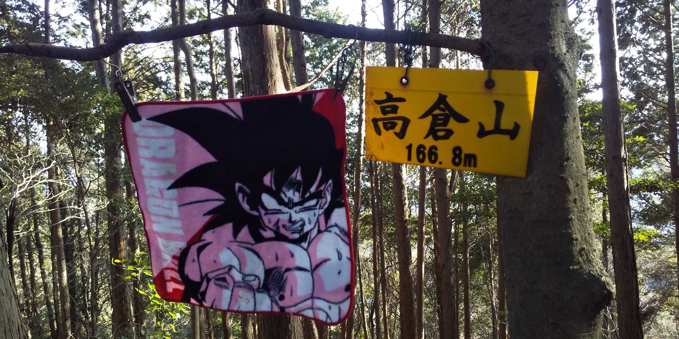 高倉山 ピークハント🧤