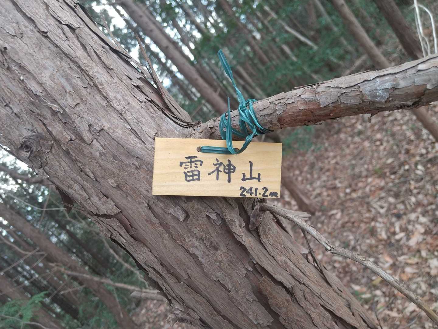 雷神山の写真