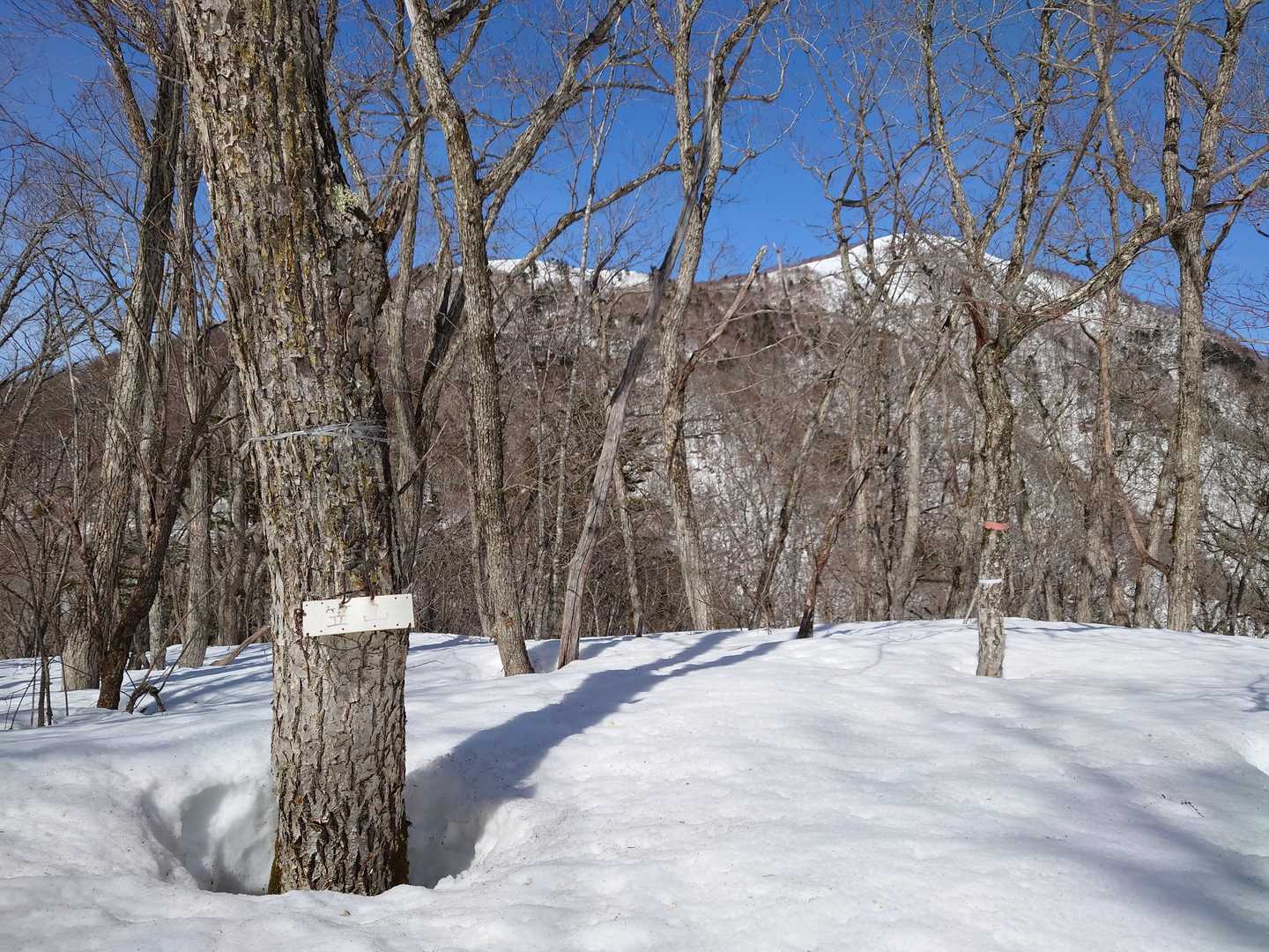 笠山着😉
どんなでしょうかー？
飯縄山からの降りからずっと見えていた笠山です！