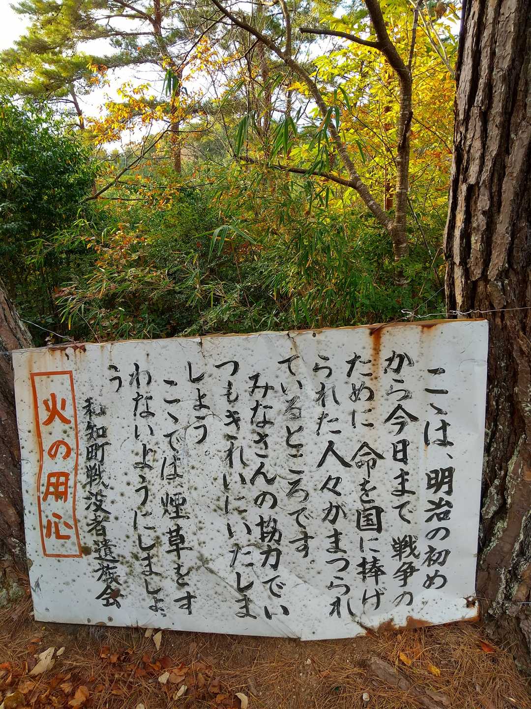 感慨深い山ですね🥺