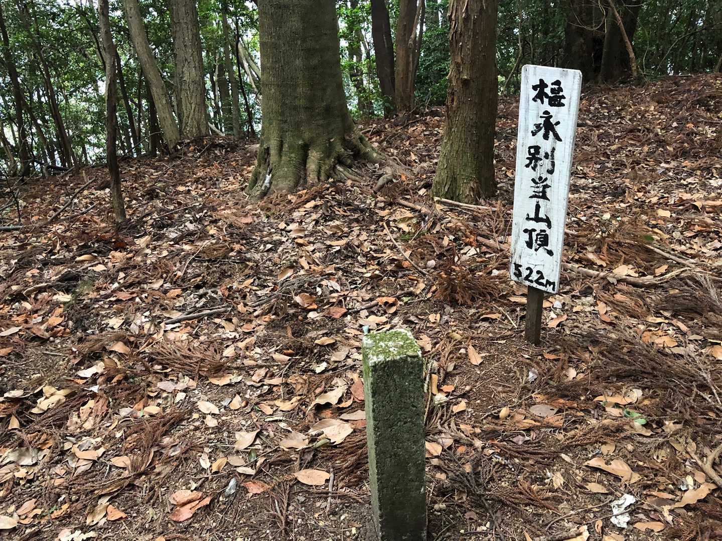 まかずに、久々にちゃんと山頂へ。