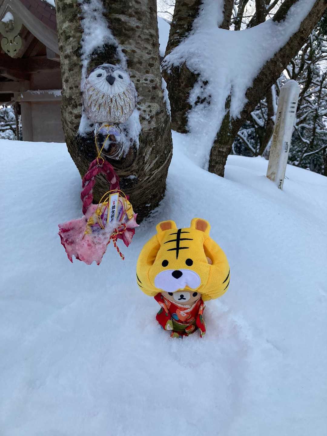 奥の院到着。
ココにもお正月バージョンのフクロウさん♡
アタシの被り物が重いよ〜不・苦労🦉(笑)？