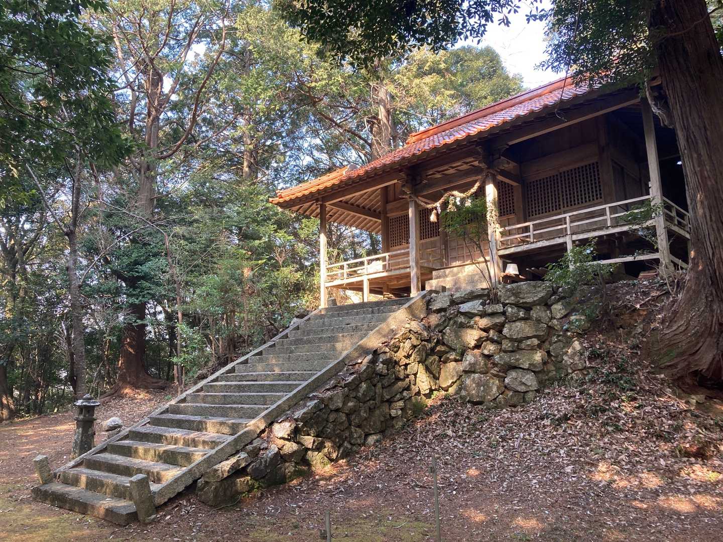 ここが太郎丸山⛰
