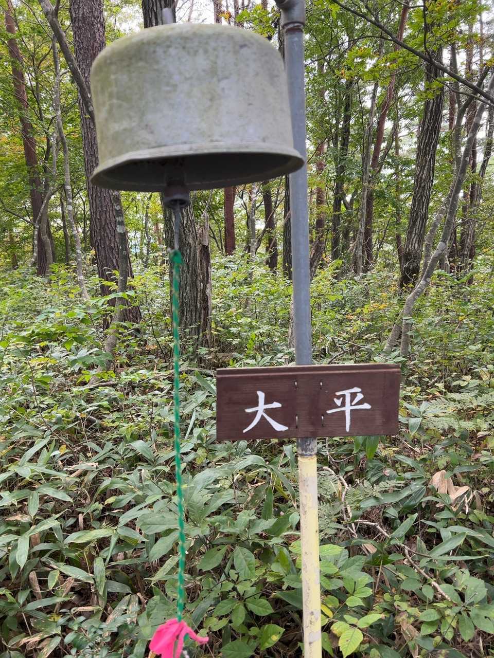 とりあえず写真だけ😑