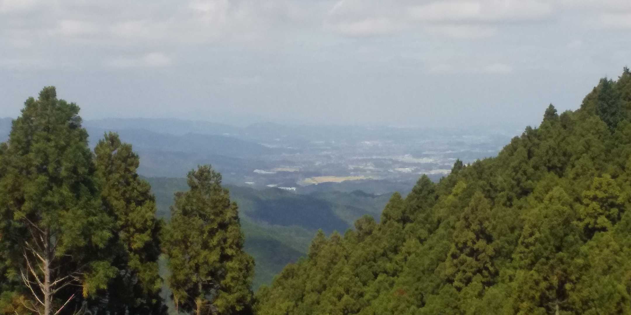 伐採が進んで、田川市方面が見えますねー。