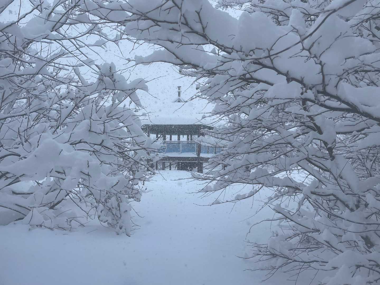 途中ルートを引き返したりするも
なんとか展望台へ。
前回よりもたっぷりの雪で木々も重々しく。