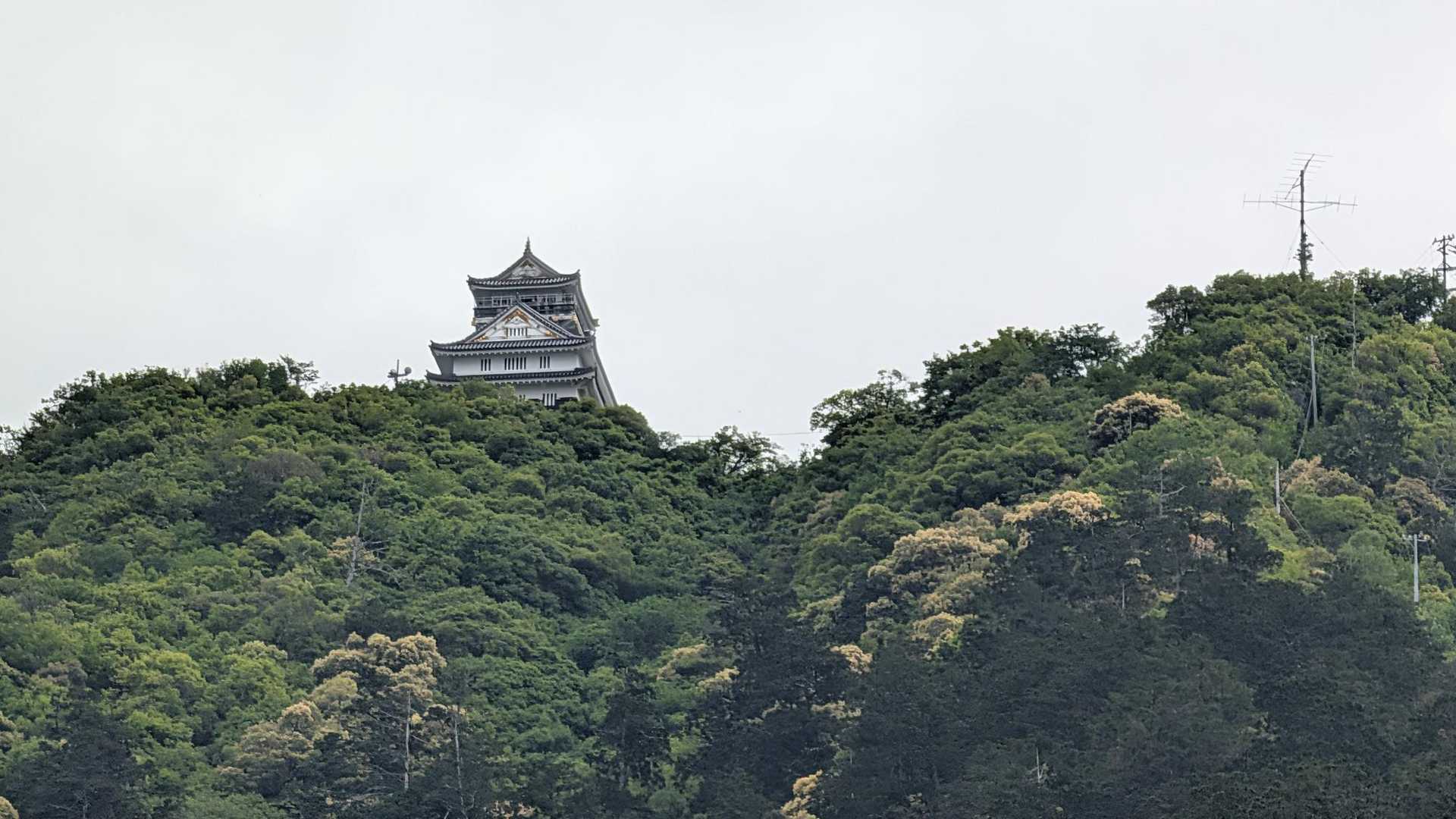 2026年35座目 金華山 / やまの登山データ | YAMAP / ヤマップ