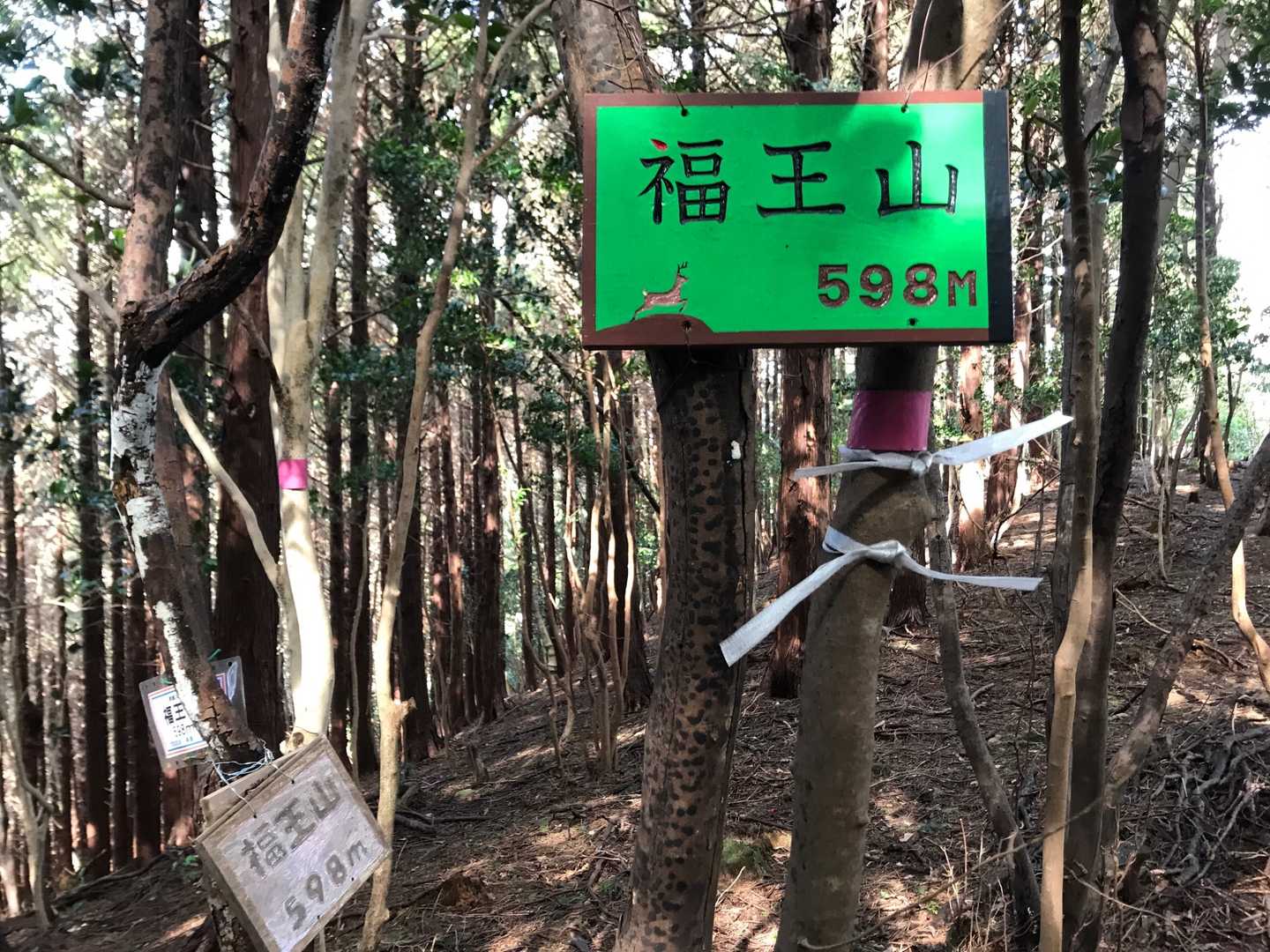 ここが山頂です。
展望無し！