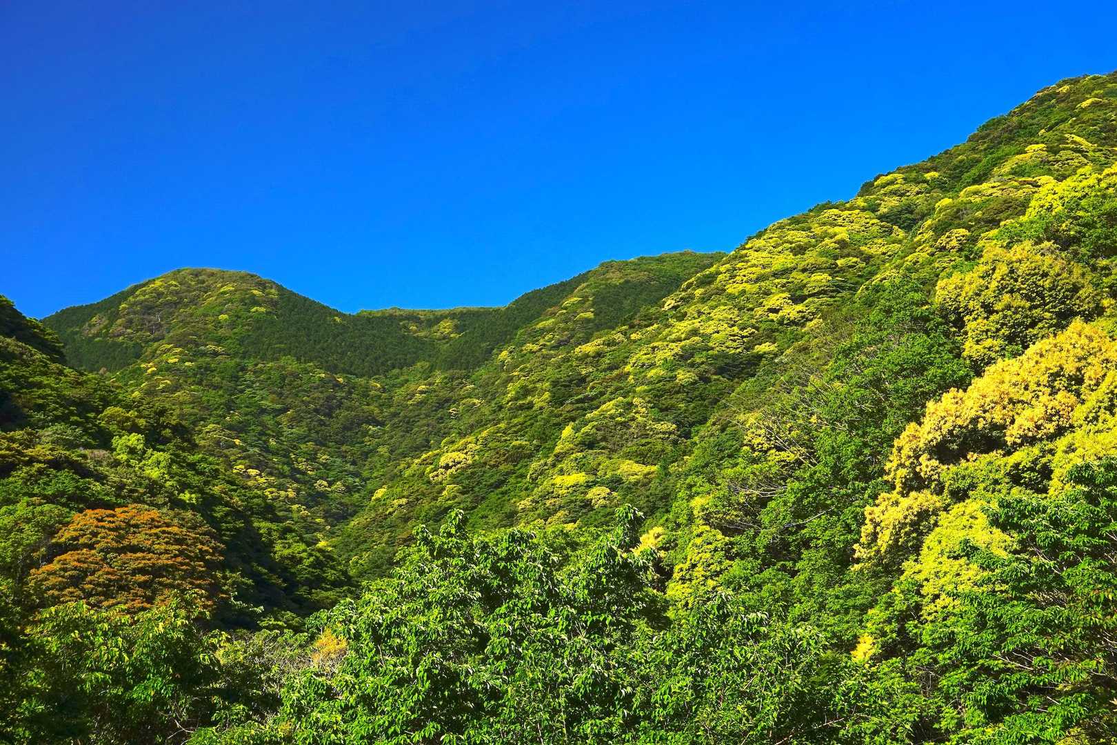 山ノ田城山・雲取山・福智山 / masamasaの登山データ | YAMAP / ヤマップ