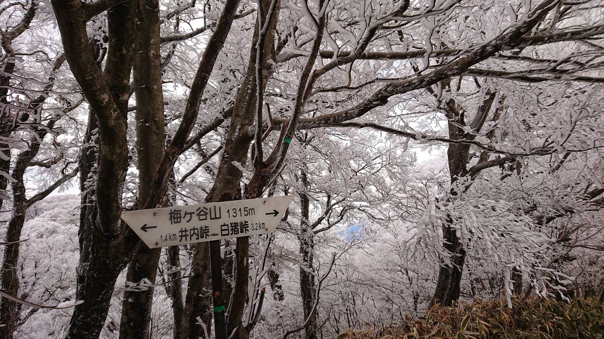 梅ヶ谷山