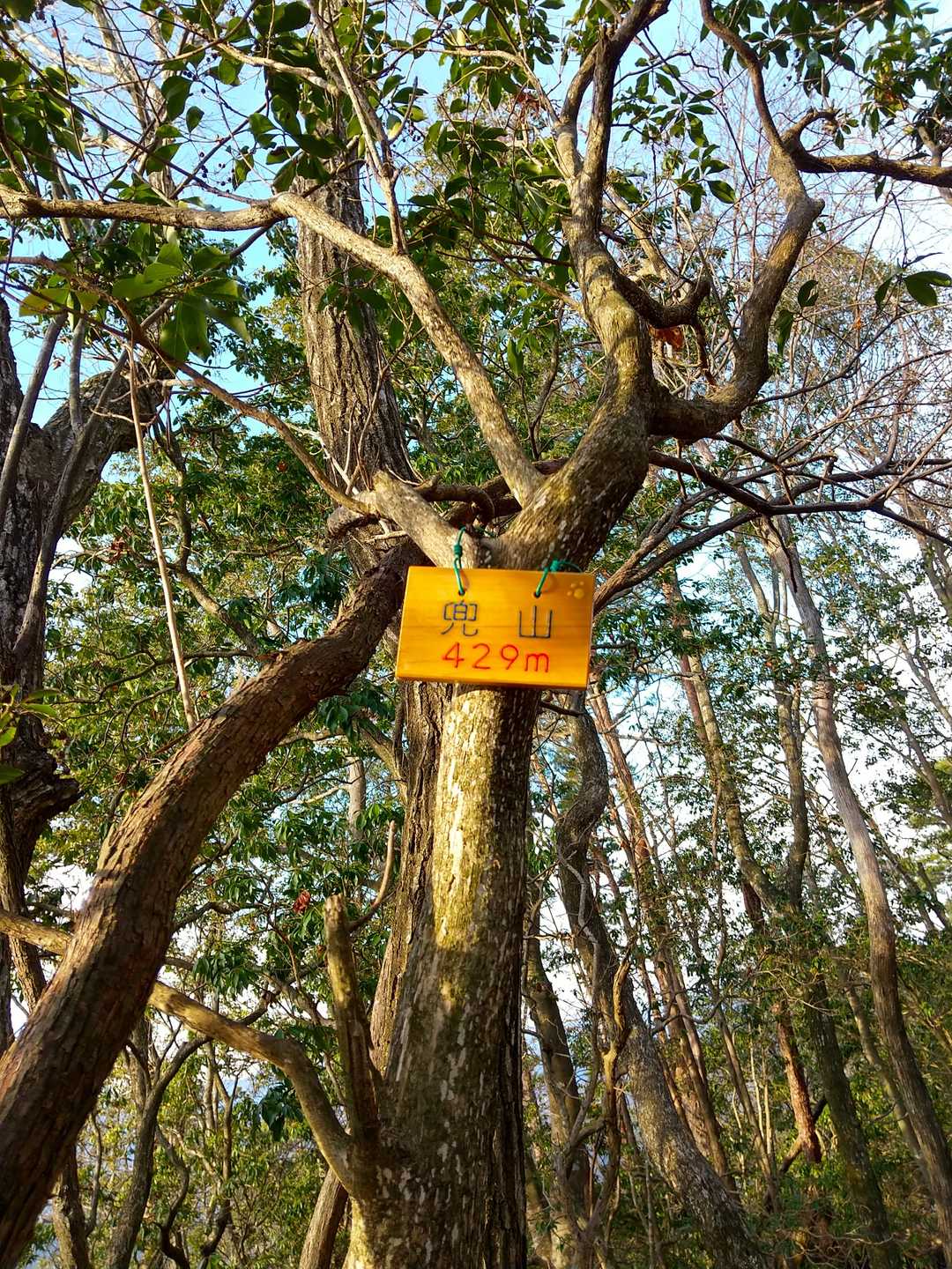 程なく兜山登頂