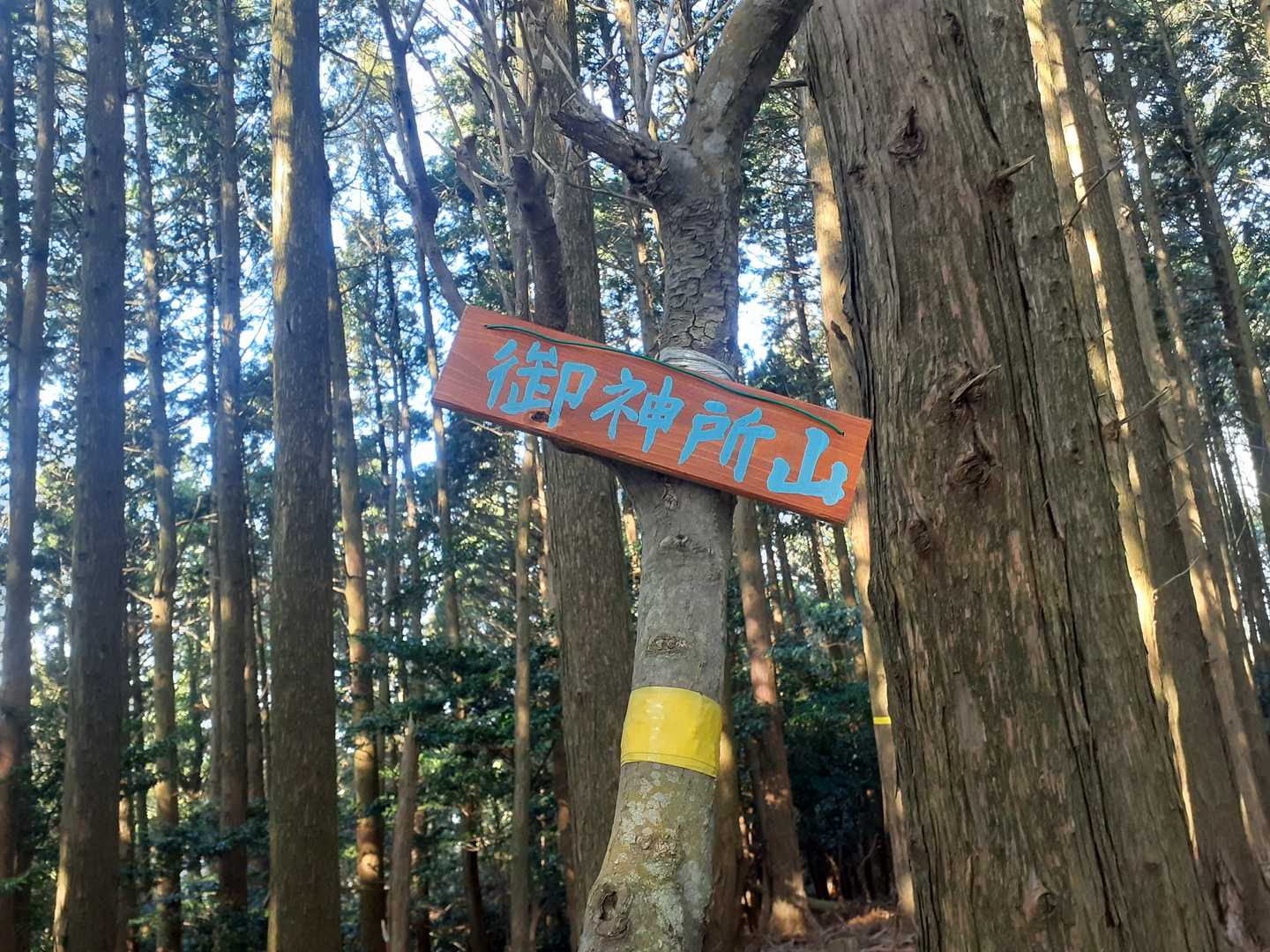 どうやら相違ないようだ。。