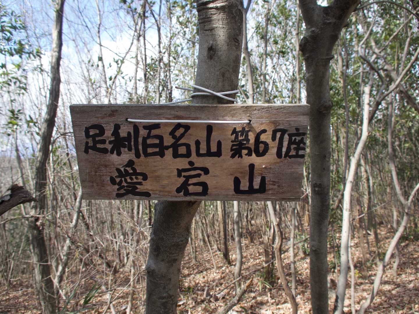 そして🐶一緒に⛰愛宕山だワン！😄