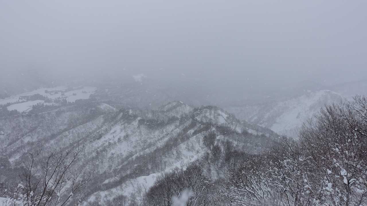 下山 する尾根。