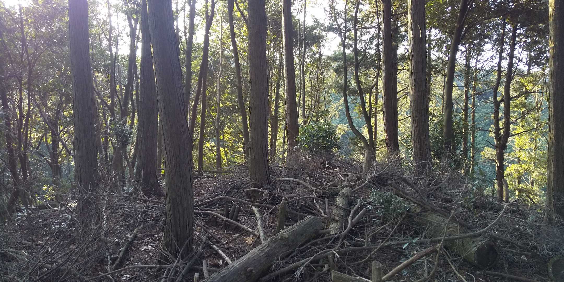 ぶちええ景色見れると思ってたはずが…

思ってたのと違うほ。