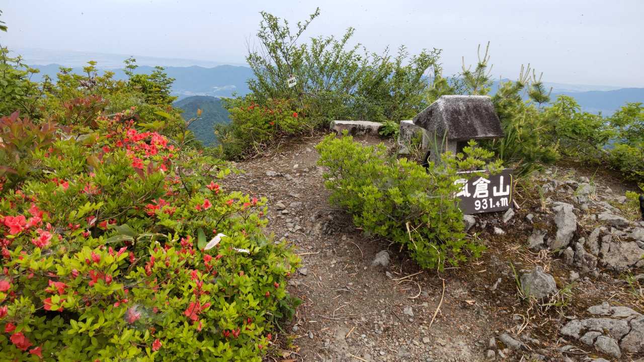 山頂に着いた。