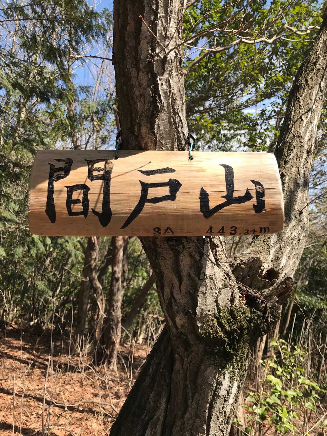 間戸山到着⛰
まわり、景色、ありませ〜ん
(-.-;)y-~~~