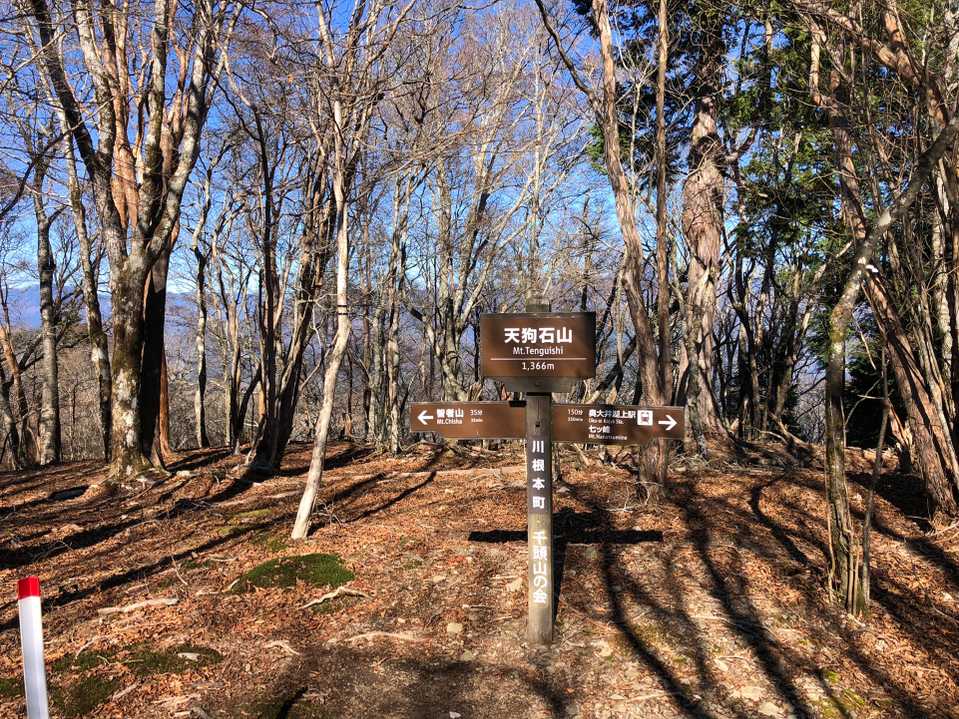 👺天狗石山に到着。背後の木々の間に見えるのは、深南部の山々です。