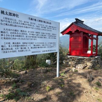 神社。メンズをおいて1人で鳥居⛩️を探しに行ったのですが…