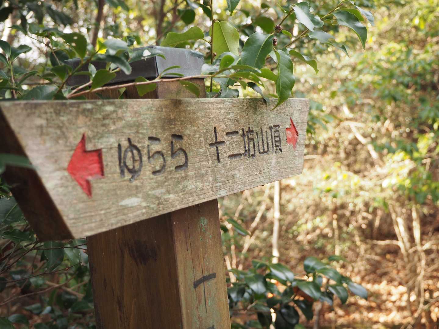 家族が一緒なので、のんびりペース