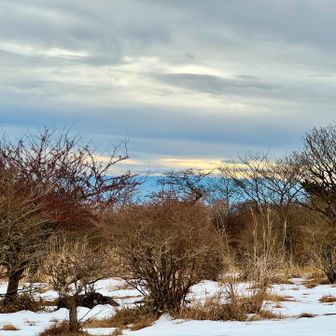 南方向。
ここからでも晴れた日には、この方向に富士山を観ることができる。