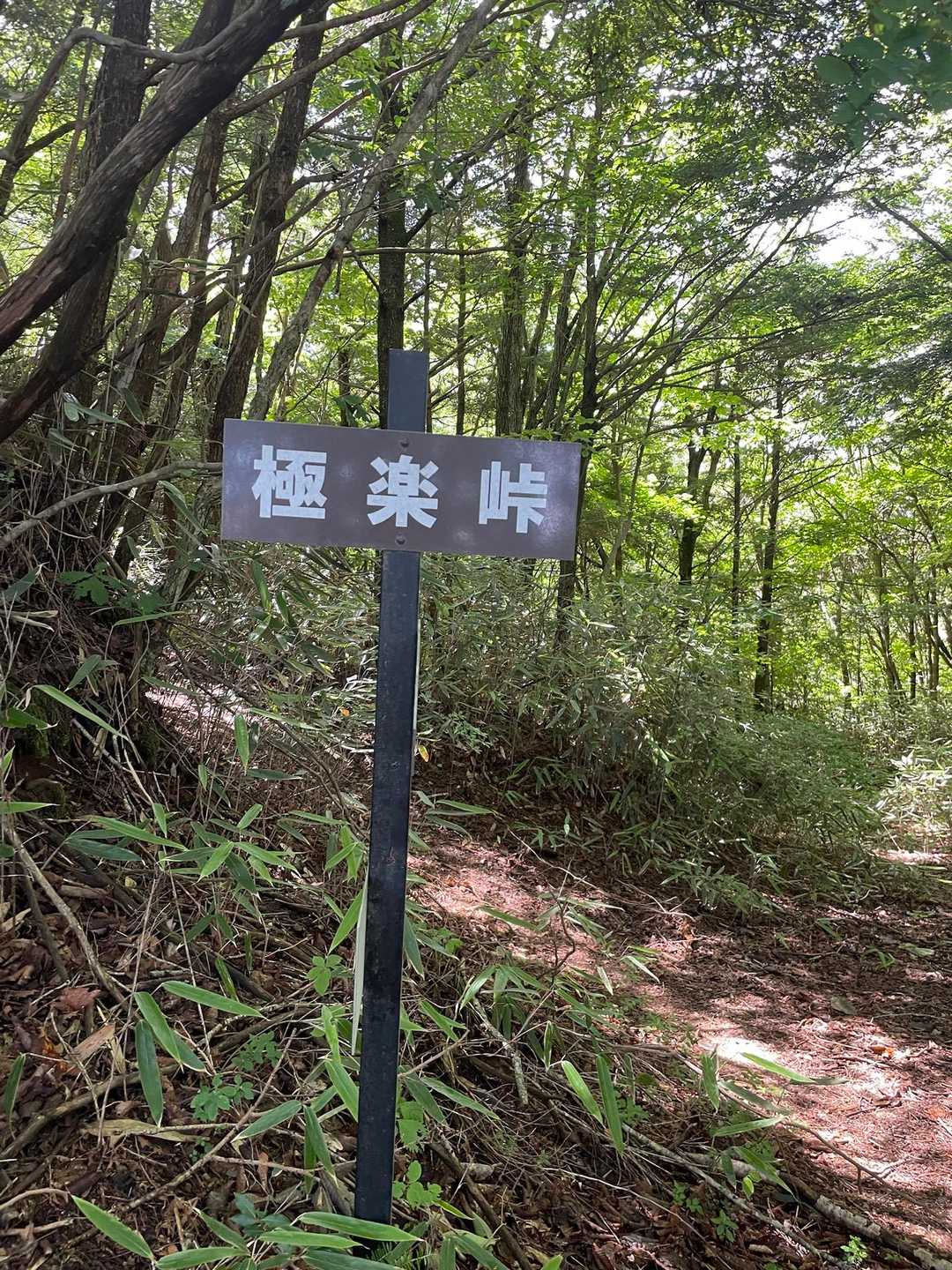 極楽峠-見晴山 往復コースの写真