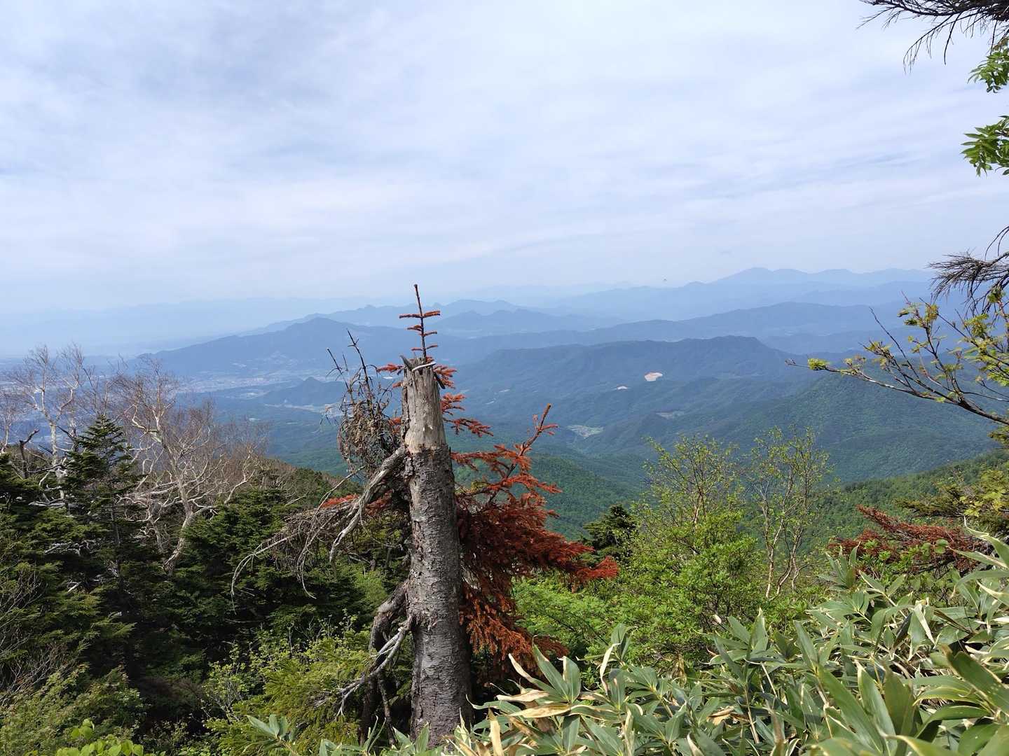 高手山-西峰-剣ヶ峰山-武尊山 往復コースの写真